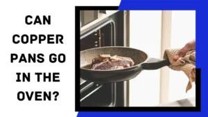 Read more about the article Can Copper Pans Go in the Oven?