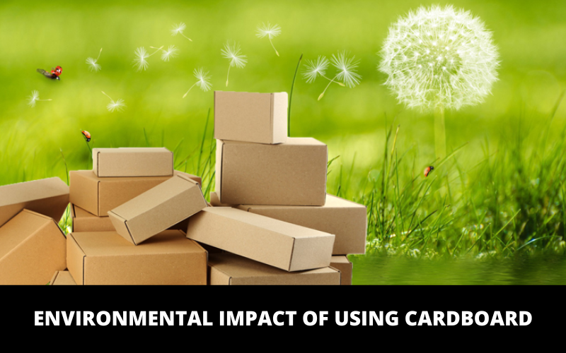 Environmental Impact of Using Cardboard
