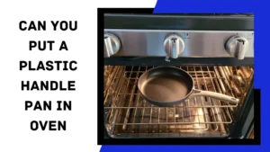 Can You Put a Plastic Handle Pan in the Oven?