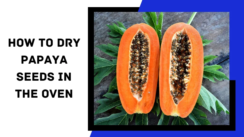 You are currently viewing How to Dry Papaya Seeds in the Oven